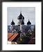 The 19th Century Russian Orthodox Alexander Nevsky Cathedral on Toompea, Old Town, Estonia Architecture Framed Art Poster Print by Christian Kober, 18x22