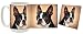 boston_terrier40boston terrier - Boston Terrier Mug Coaster Gift Box Combo DogPuppyCanine