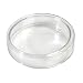 American Educational Flint Glass Culture Petri Dish, 65mm OD, 15mm Height (Bundle of 5)