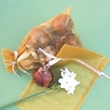 PaperwhiteNarcissus5Bulbs-INDOORS-VeryFragrant!