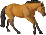41hHjANQ55L. SL160  LTD Safari Blue Ribbon Buckskin Quarter Horse