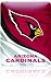 All Products : Skinit Protective Skin (Fits Latest Apple iPad); NFL Arizona Cardinal Logo
