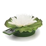 Détails sur le produit