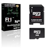 Flash Memory DS Lite R4 Old SDHC (Version 2) + 2GB Micro Card