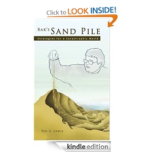Bak's Sand Pile: Strategies for a Catastrophic World