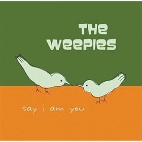 the weepies gotta have you