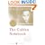 The Golden Notebook: Perennial Classics edition