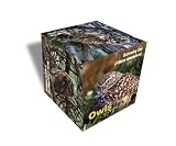 Impact Photographics Photo Cube Owls North America