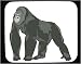 Mouse Pad with male, endangered, captivity, mammal, ape, African, gorilla, silverback, primate, zoo, animal, species