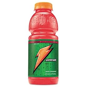 Gatorade Sports Drink, Carton of 24 20-oz. Plastic Bottles, Fruit Punch