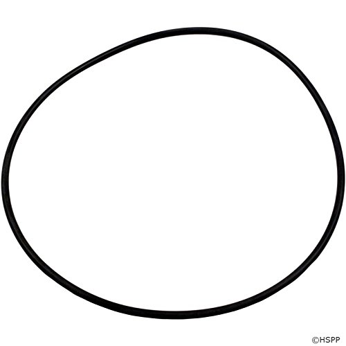 Pentair 271151 O-Ring, 2