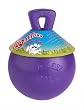 Jolly Pet 6-Inch Tug-n-Toss, Purple