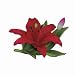Andrea by Sadek Small Lily Red Porcelain Flower Figurine