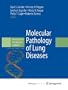 Computer Assisted Radiology: Proceedings of the International Symposium : Car'93 Computer Assisted Radiology/Computergestutzte Radiologie : Vortrage