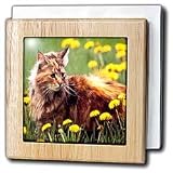 Cats - Cat In The Flower Field - Tile Napkin Holders