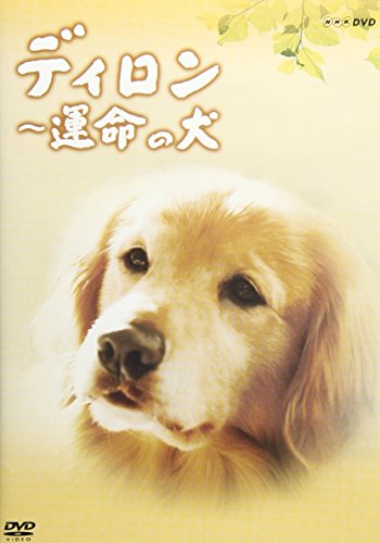 ディロン 運命の犬 樋口可南子 大杉漣 関口知宏 平田満 池内淳子 岡崎栄 寺田敏雄
