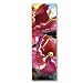 Red and White Hibiscus - Double-sided Bookmark