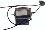 Mojo Junior and Floater 6 Volt Replacement Motor