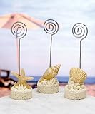 Seashell placecard table clips