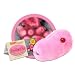 Giant Microbes Swine Flu (Influenza A virus H1N1)