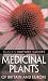 Medicinal Plants of Britain and Europe (Black's Nature Guides) (Black's Nature Guides)