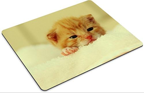 butterflies cocoon butterfly papilio animal QZone Customized Made to Order Cloth with Neoprene Rubber Mouse Pads