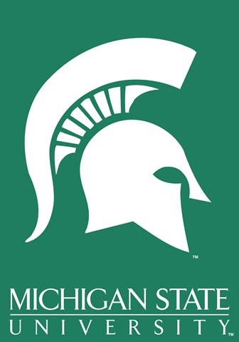 Michigan State University Spartans Large House Flag