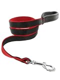 Kakadu Pet Orbit Padded Dog Lead Nylon Leash Picture