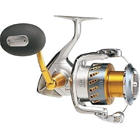 Fishing: Shimano Stella SW Spinning Reel