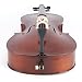 Cecilio CCO-400 Handmade German Type Ebony Fitted All Solid Wood Size 1/2 Cello Outfit