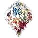 Shakespeare Fringe Studio Chandlier Crystal Drop Shape Magnet