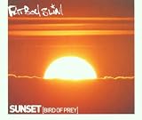 Sunset (Bird of Prey)