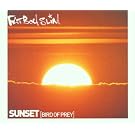 Sunset Bird of Prey