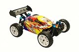 1:16 Scale 4WD Electric Radio Controlled Buggy