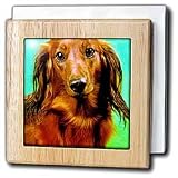 Dachshund - 6 Inch Tile Napkin Holder