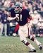Dick Butkus Chicago Bears 8x10 Photo