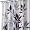 Interdesign Leaves Shower Curtain - Black/Gray