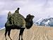Tadjik Camel Driver on the Silk Road, China Lonely Planet Collection Photographic Pos...