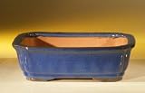 Bonsai Boy's Ceramic Bonsai Pot - Rectangle 8 0 x 6 25 x 2 5