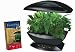 Outdoor Living : French Herb Seed Kit