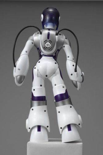 エマ(Eternal Maiden Actualization)