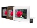 QPS - QPDPF102 cadre photo numerique Multimedia MP3-MP4 - 10,2 pouces - avec 3 cadres