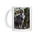 cat-russian blue Photo Mugs