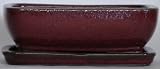 BuyBonsai's Bonsai Pot 8 Rectangle Red with Tray