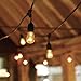 String Light Company Vintage 48-Ft Outdoor Commercial String Lights with 15 Suspended Sockets and 15 Clear S14 Bulbs, 14 Gauge Black Cord
