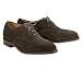 Alden Suede Wingtips