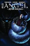 Angel After the Fall #14