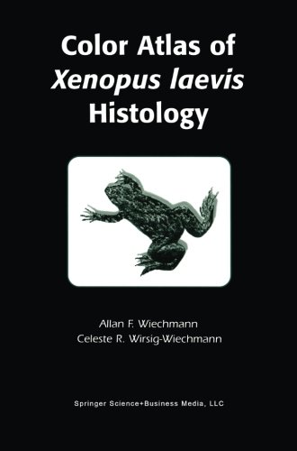 Color Atlas of Xenopus laevis Histology