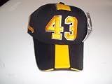 Pittsburgh Black and Gold #43 Polamalu Number Hat