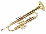 Hameln B-flat Trumpet with Monel Valves, Rose Brass Leadpipe, and Polished Brass Bell